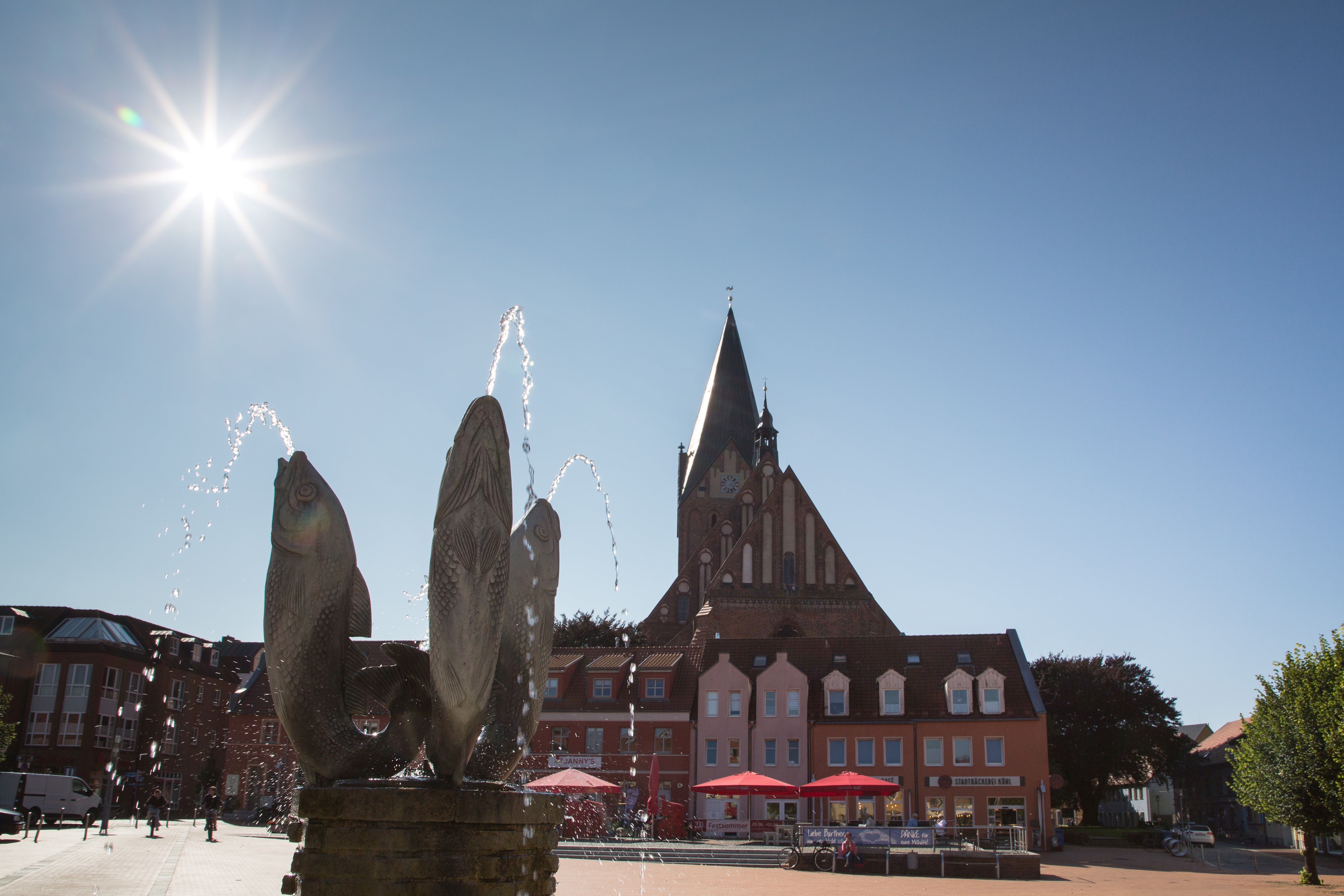 Markt in Barth